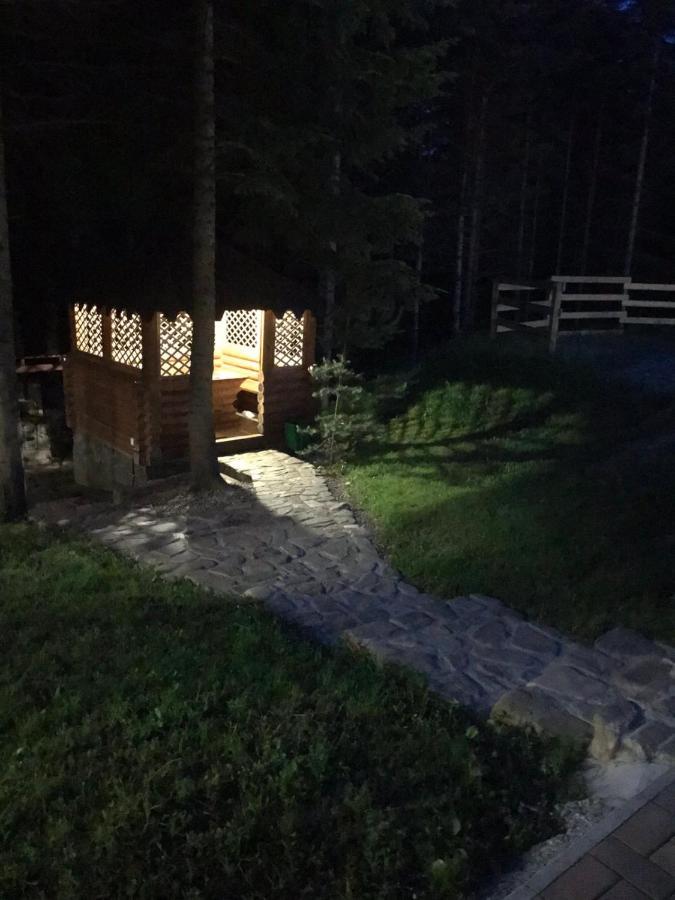 Villa Ялинка à Myhove Extérieur photo