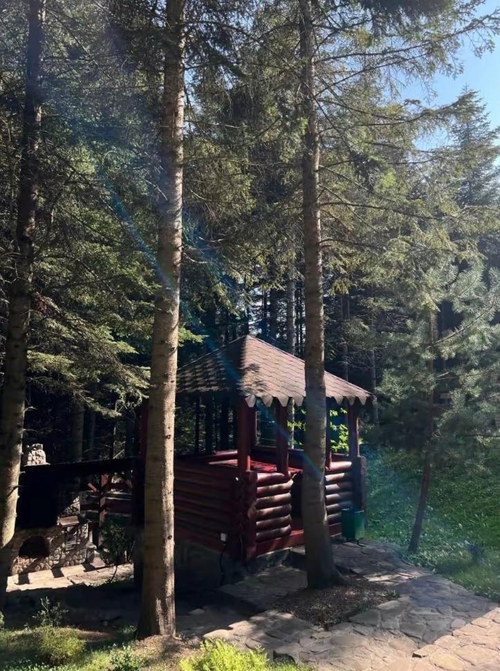 Villa Ялинка à Myhove Extérieur photo