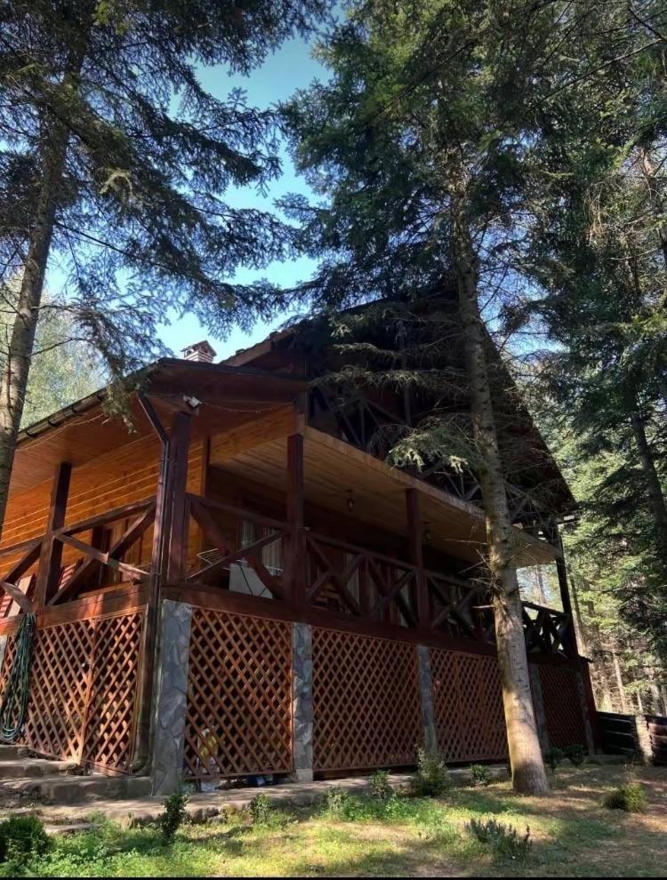 Villa Ялинка à Myhove Extérieur photo