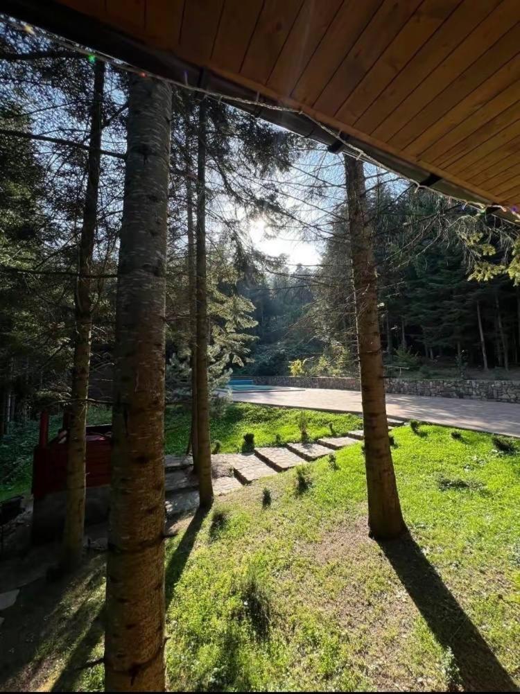 Villa Ялинка à Myhove Extérieur photo