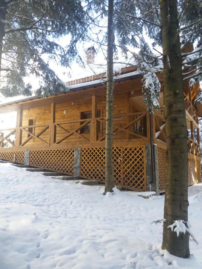 Villa Ялинка à Myhove Extérieur photo